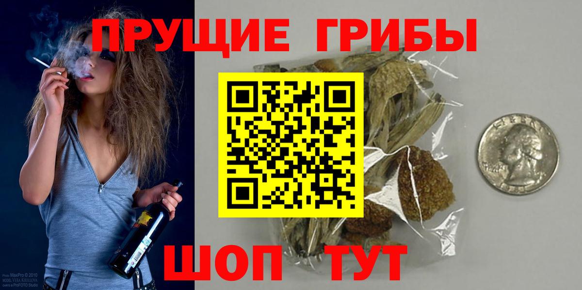 Галлюциногенные грибы Cubensis Чита