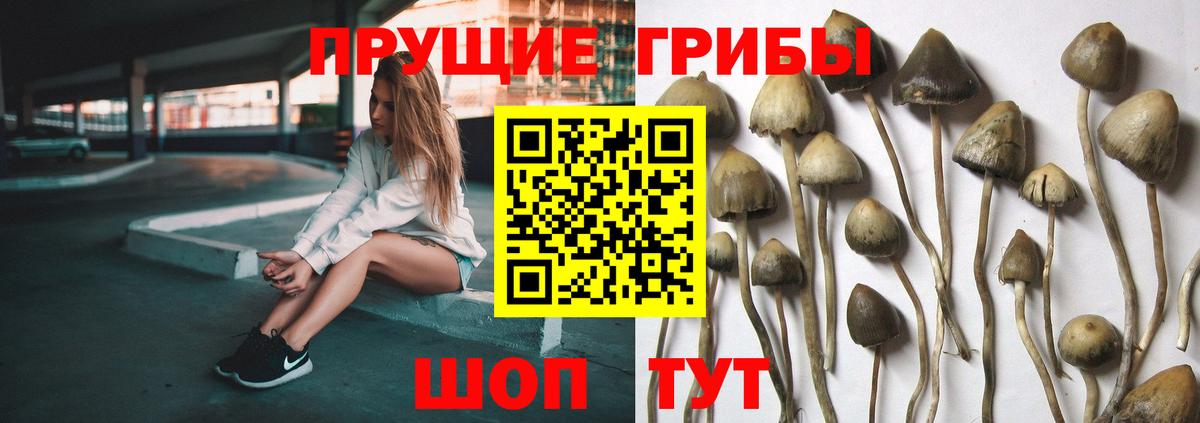 Чита  Галлюциногенные грибы ЛСД  что такое   Вход с VPN 
